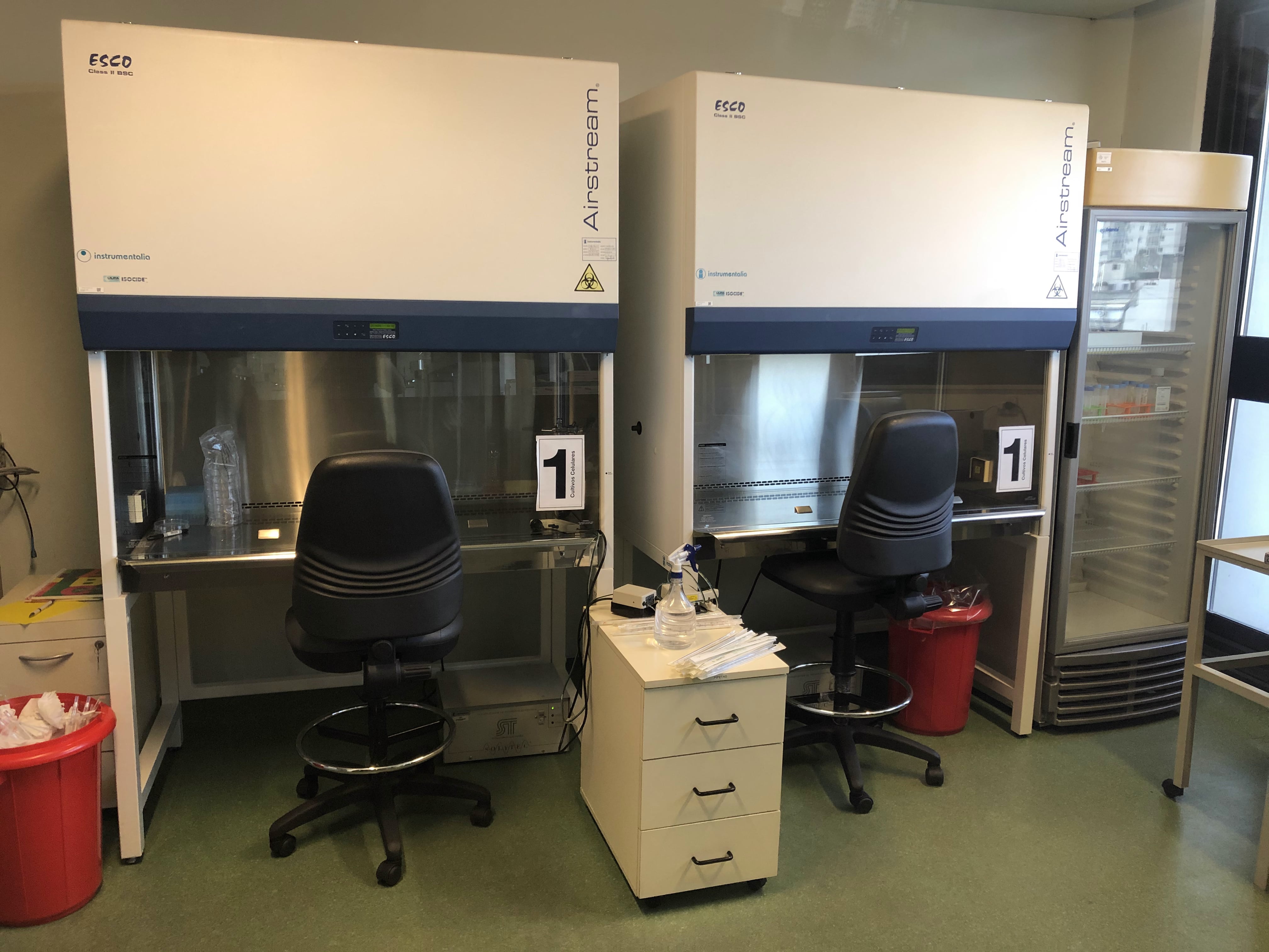 Laboratorio De Ingeniería De Tejidos Y Cultivos Celulares