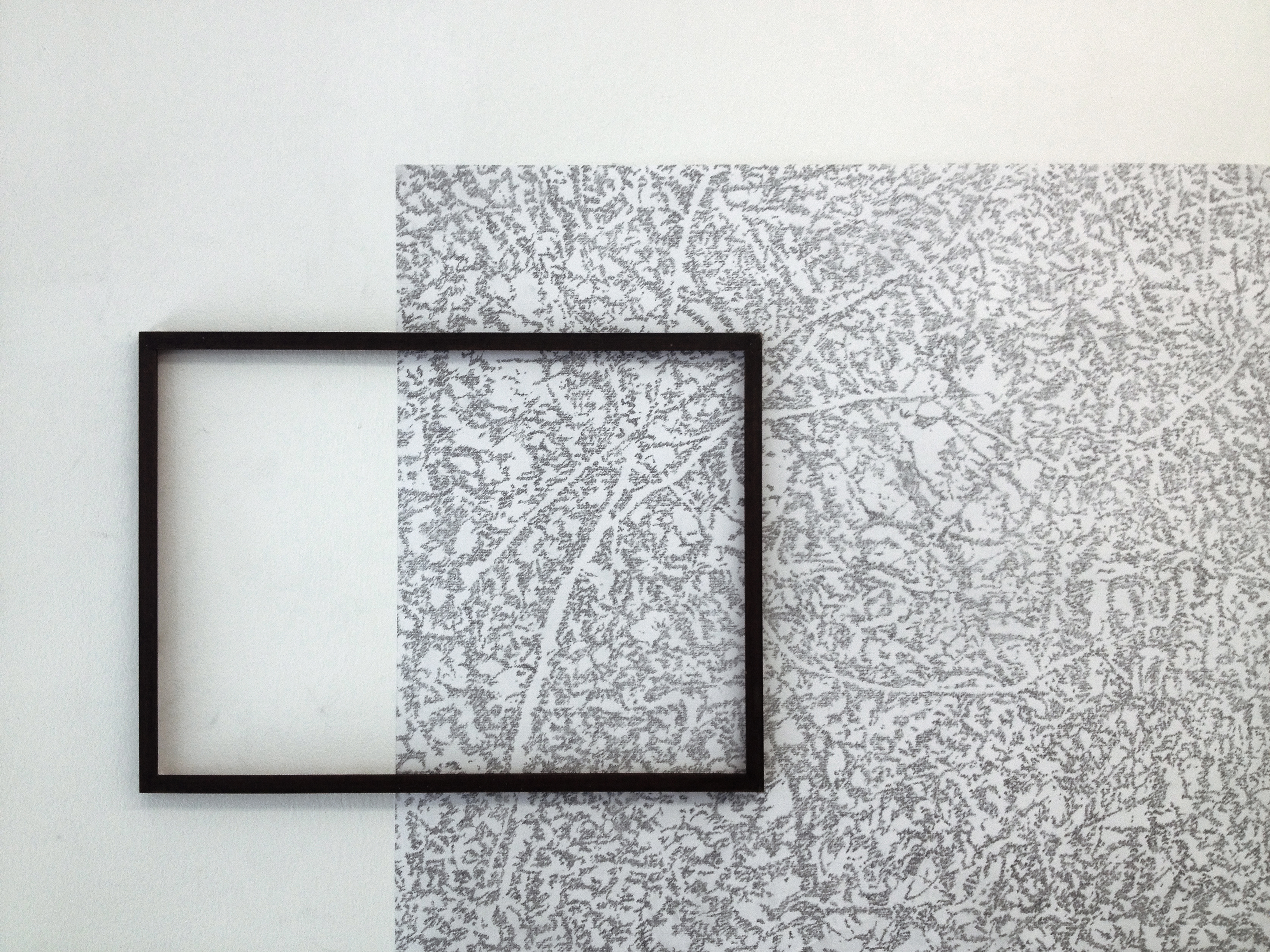 24 Cynthia Kampelmacher