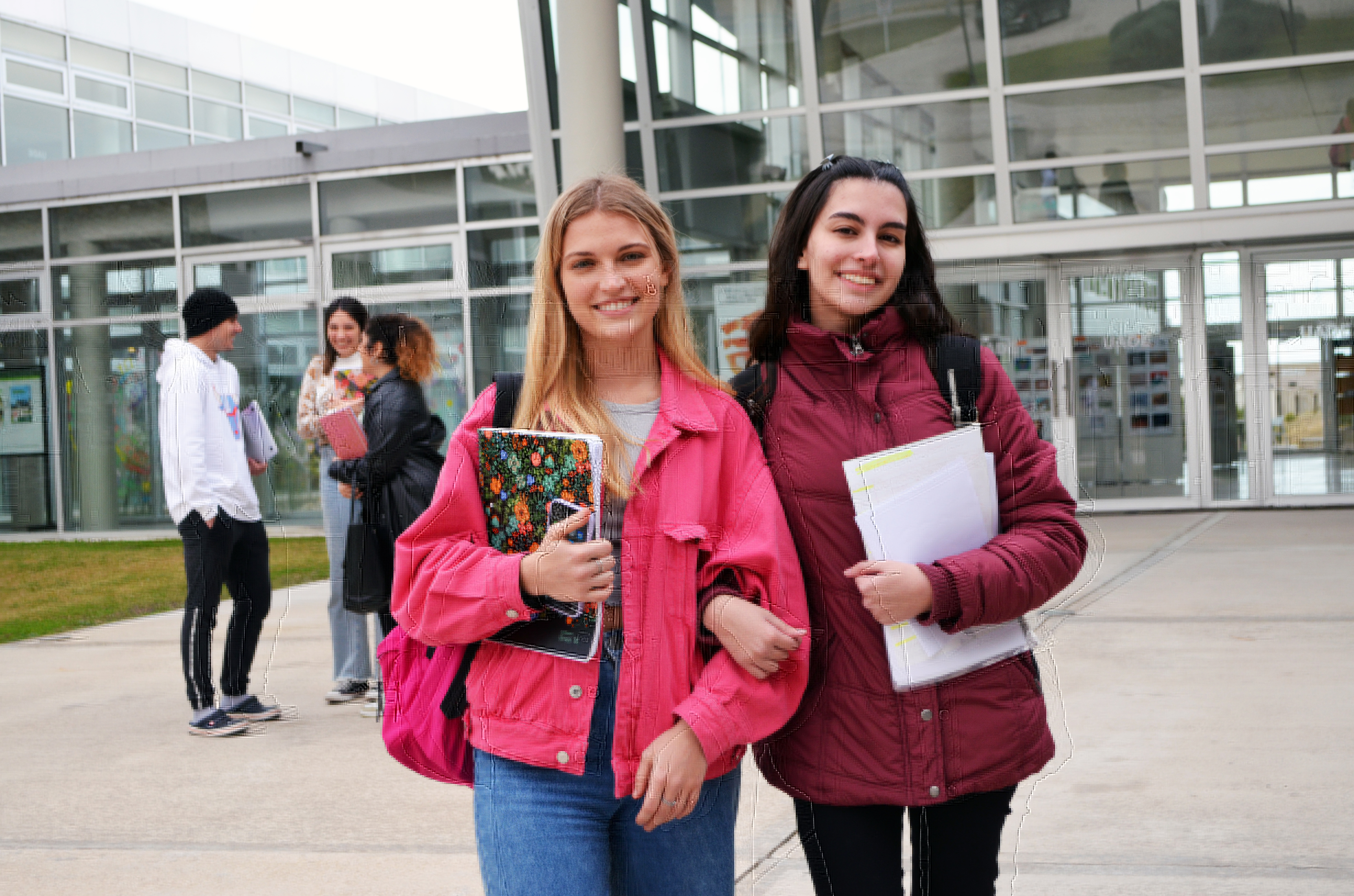 Materias Regulares Intensivas