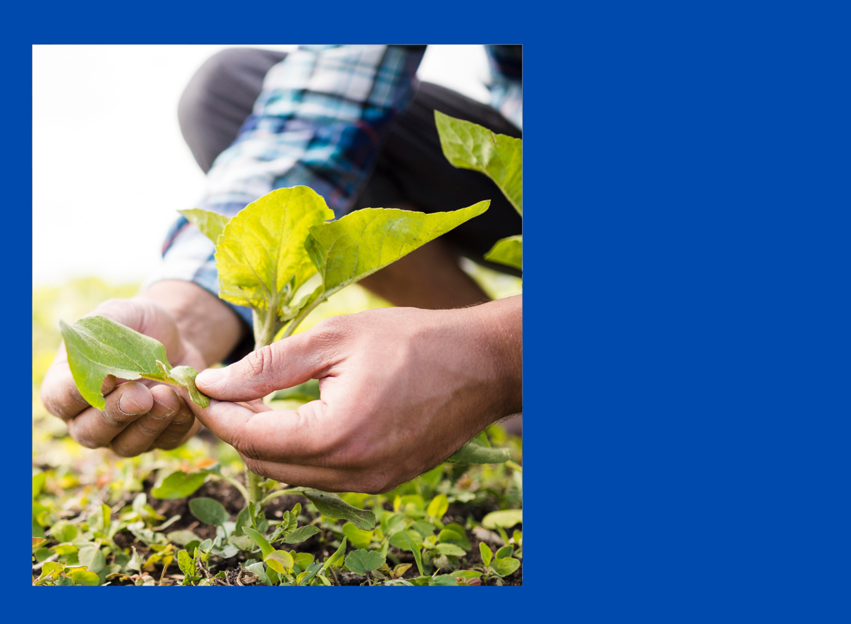 Diseño Sin Título (41)