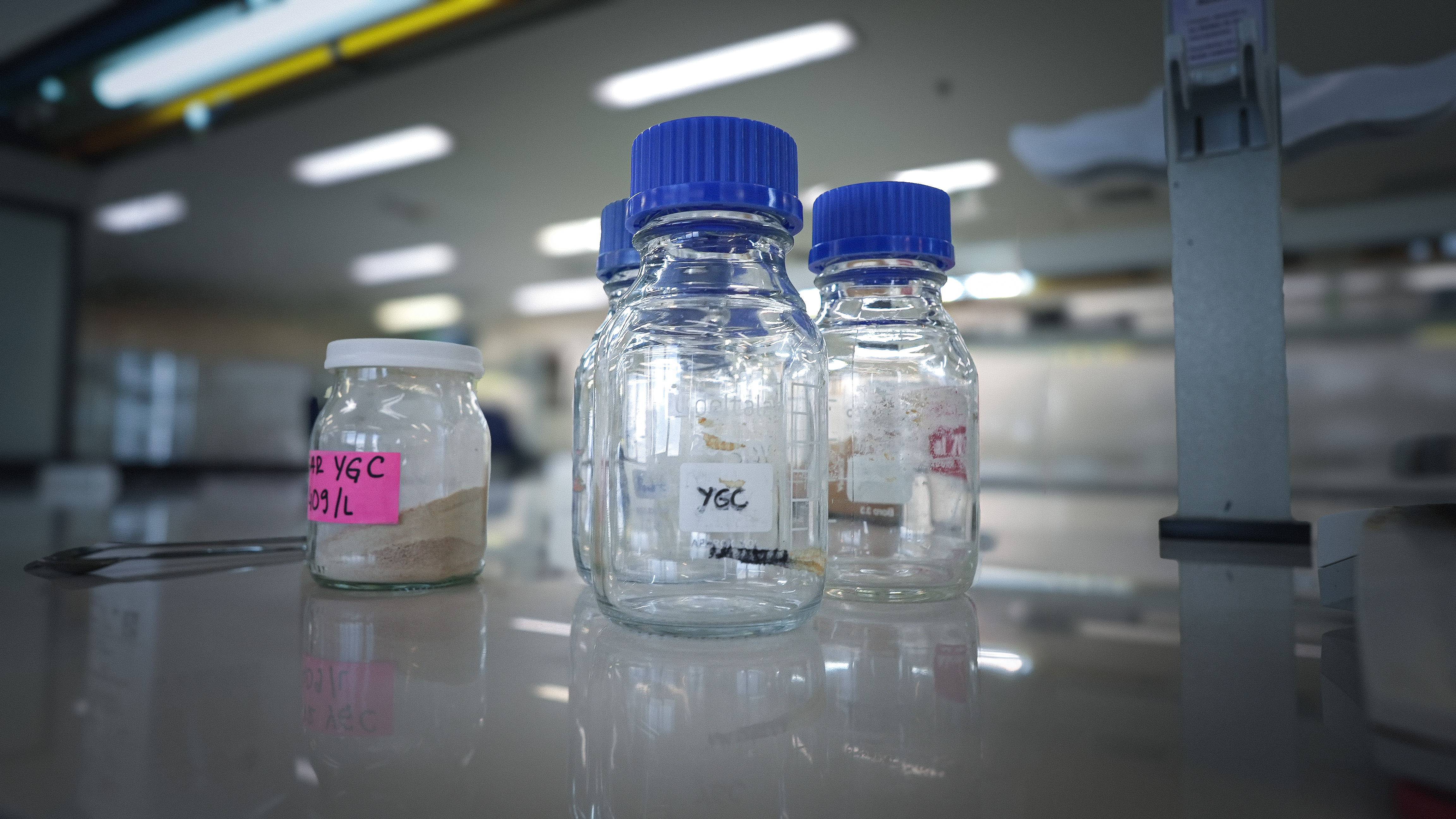 Microbiología Y De Biotecnología 7