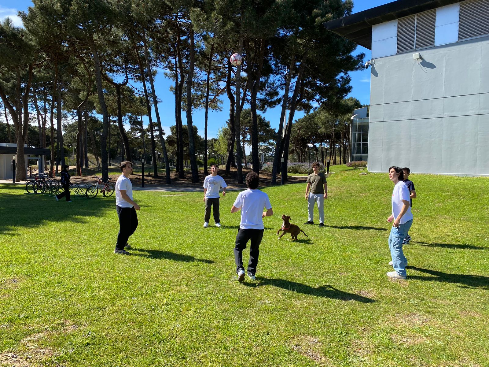 Whatsapp Image 2023 11 15 At 16.53.37 (2) (2)