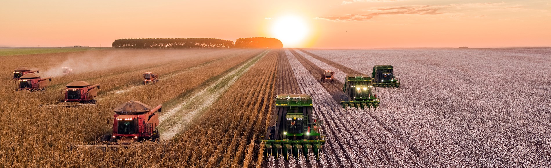Agro