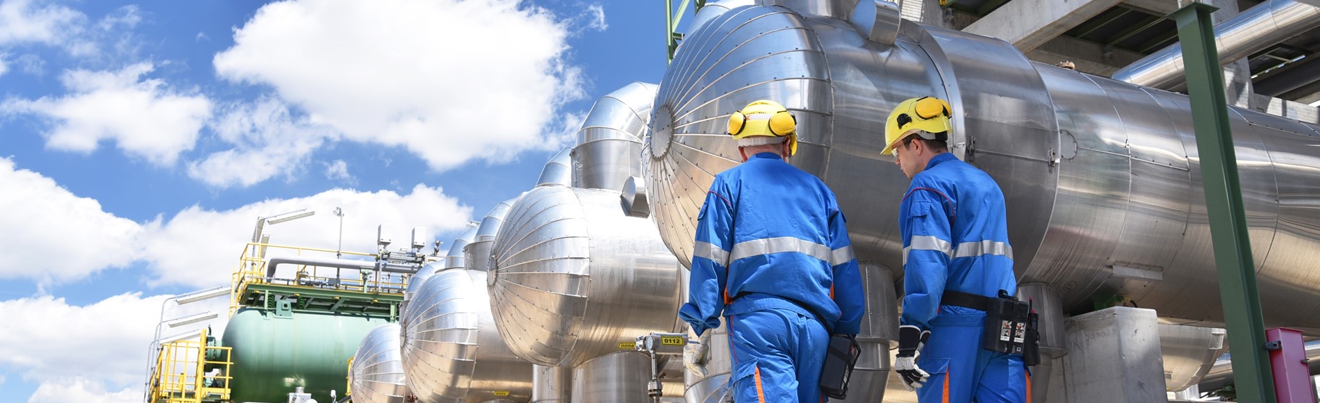 Shutterstock 2275186373