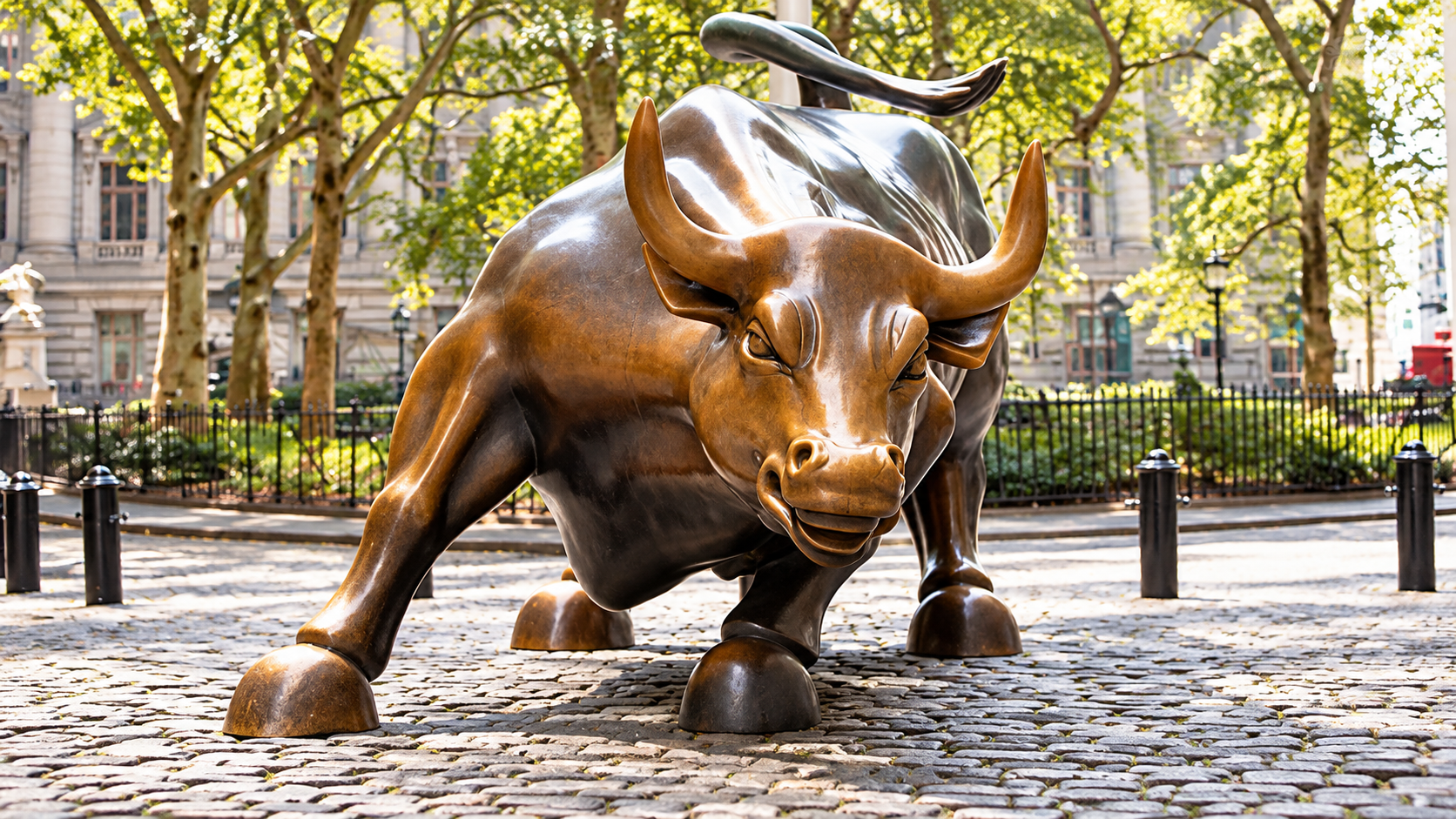 NY Bull UBS