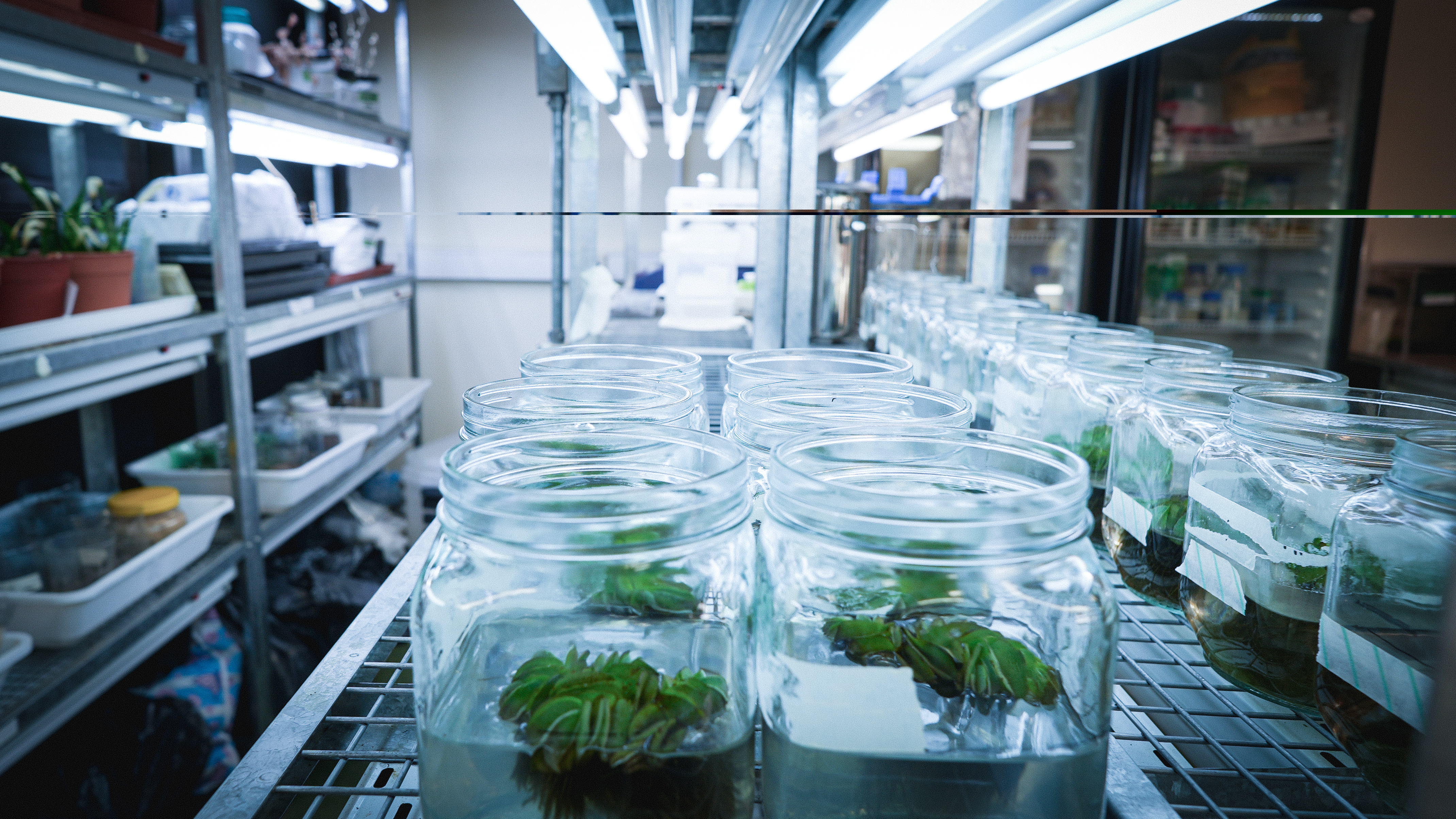 Plant Room 1