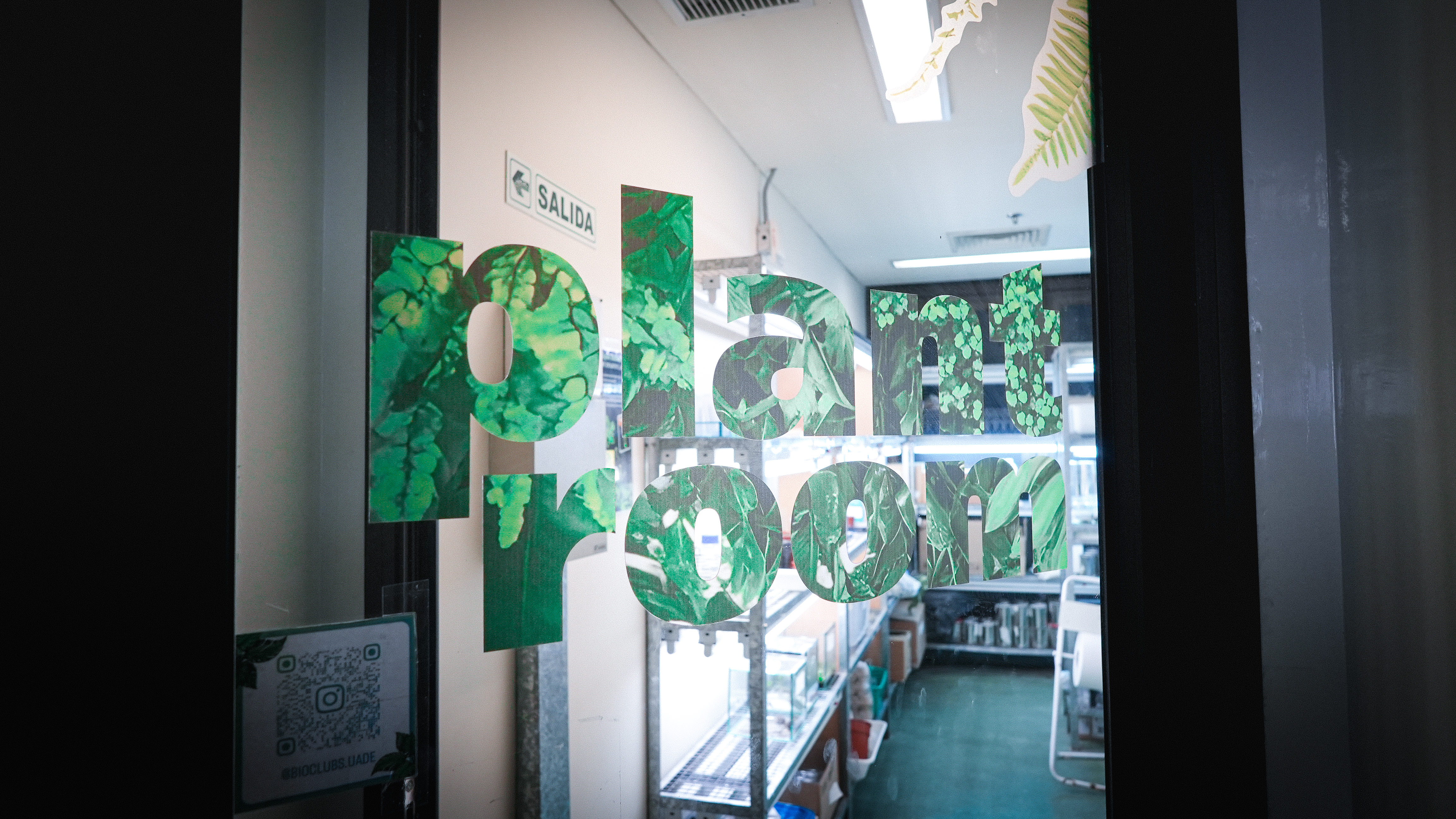 Plant Room 5