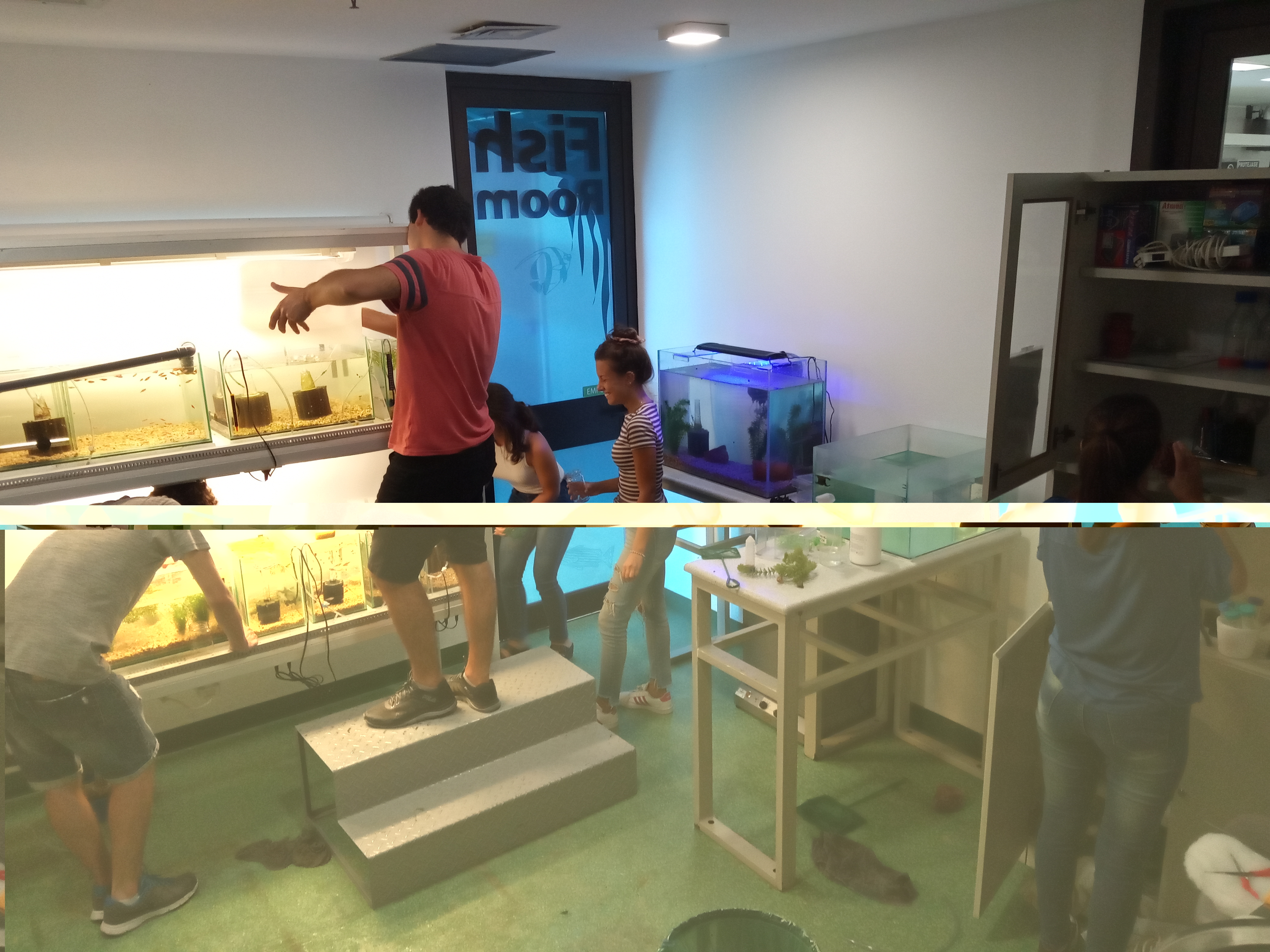 Foto Biolab