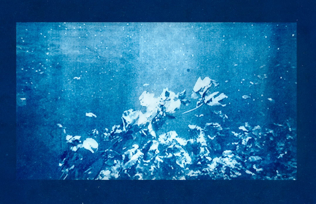 16 Gisela Ajzensztat